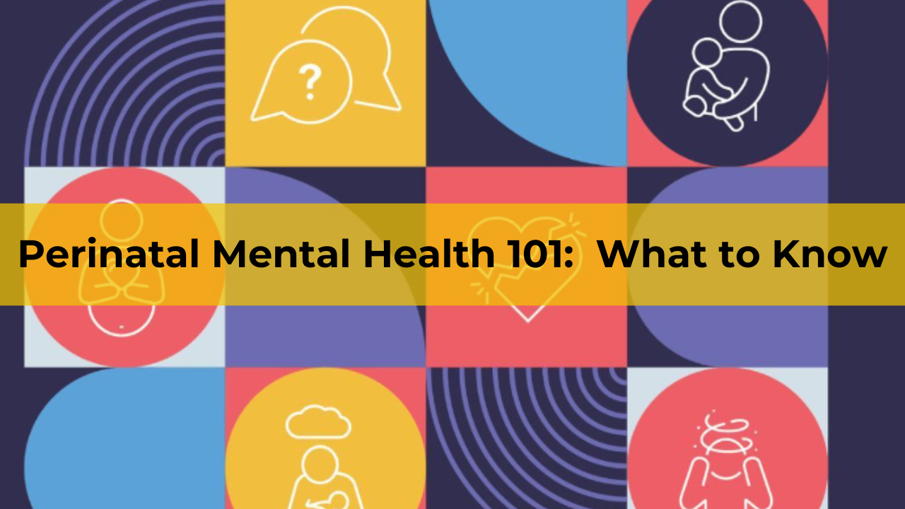 Perinatal Mental Health 101:  What To Know Banner